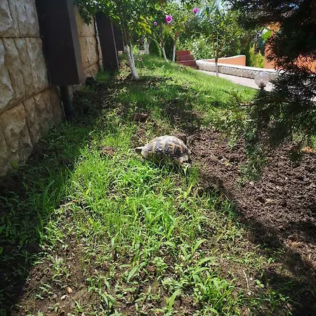 Complex Karia Ii Kavarna